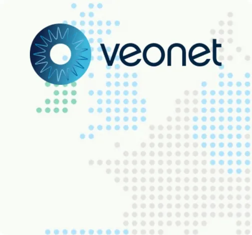 veonet group logo